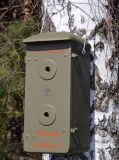 Schwegler Hornissenkasten aus Holzbeton