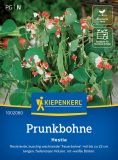 Prunkbohne / Feuerbohne "Hestia" - Phaseolus coccineus