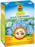 Compo Blaue Hortensien