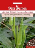 Okra "Clemson Spineless" - Abelmoschus esculentum
