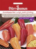 Paprika "Luigi + Yoshi + Daisy F1" - Capsicum annuum