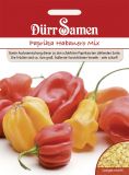 Peperoni (Pfeffer-Paprika) "Habanero Mischung" - Capsicum chinense
