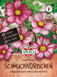 Cosmos bipinnatus "Candy Stripes" - Schmuckkrbchen