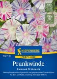 Ipomoea purpurea "Carneval di Venezia" - Trichterwinde