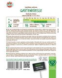 Gartenkresse 