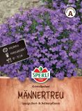 Lobelia erinus "Kristallpalast" - Mnnertreu
