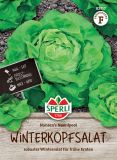 Winter-Butterkopfsalat "Nansen