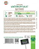 Winter-Butterkopfsalat 