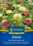 Zinnia elegans "Red Lime & Green Lime" - Zinnie
