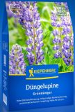 Düngelupine "Blau" - Lupinus angustifolius - Gründünger