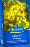 Gelbsenf - Sinapis alba - Grndnger