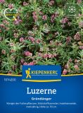 Luzerne - Medicago sativa - Grndnger