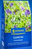 Luzerne - Medicago sativa - Grndnger