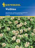 Weiklee - Trifolium repens - Grndnger