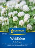 Weiklee - Trifolium repens - Grndnger