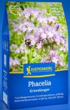Phacelia tanacetifolia - Bienenweide - Grndnger