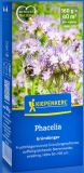 Bienenweide, Phacelia tanacetifolia - Gr�nd�nger