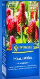 Inkarnatklee, Rosenklee - Trifolium incarnatum var. sativum - Grndnger