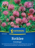 Rotklee - Trifolium pratense - Gründünger