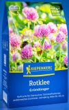 Rotklee, Trifolium pratense - Gr�nd�nger
