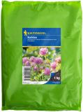 Rotklee - Trifolium pratense - Gründünger