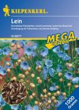 Leinsaat - Linum usitatissimum -  Grndnger