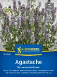 Agastache rugosa - Koreanische Minze