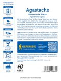 Agastache rugosa - Koreanische Minze