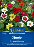 Zinnia x hybrida "Profusion Mix" - Zinnie