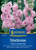 Alcea rosea "Chaters Double Pink" - Stockrose