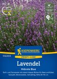 Lavandula angustifolia "Hidcote Blue Strain" - Lavendel