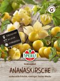 Andenbeere / Ananaskirsche "Goldmurmel" - Physalis pruinosa