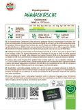 Andenbeere / Ananaskirsche 