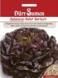 Salanova-Salat "Barlach" - Lactuca sativa
