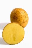 Pflanzkartoffel "Adretta"