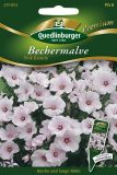 Lavatera trimestris "Pink Beauty" - Bechermalve