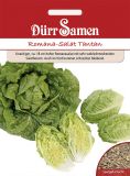 Romanasalat / Salatherzen "Tantan" - Lactuca sativa var. longifolium