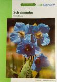 Meconopsis grandis - Scheinmohn