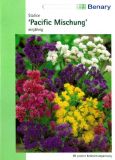 Limonium sinuatum "Pacific Mischung" - Strandflieder, Statice