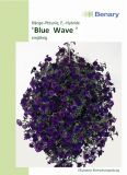 Petunia hybrida "Wave F1 Blue" - Hngepetunie
