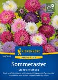 Callistephus chinensis, "Standy Mix" - Sommeraster