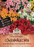 Antirrhinum majus "Zwerg-Wunderteppich"