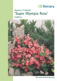 Begonia semperflorens "Super Olympia F1 Rosa" - Eisbegonie