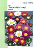 Callistephus chinensis "Astoria Mischung" - Aster