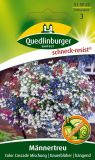 Lobelia erinus "Color Cascade Mischung" - Mnnertreu