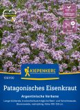 Verbena bonariensis - Patagonisches Eisenkraut, Argentinische Verbene