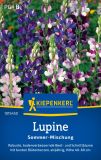 Lupinus hartwegii - Einjhrige Lupine