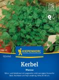 Kerbel "Massa" - Anthriscus cerefolium