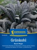Grnkohl / Palmkohl "Black Magic" -  Brassica oleracea var. acephala