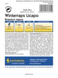 Winterraps - Brassica napus - Gründünger